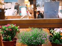 -猫的天空之城概念书店(杭州南宋御街店)