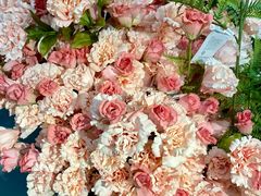 -宜家家居(高新商场店)