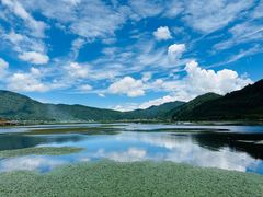 -腾冲北海湿地