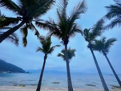 -三亚太阳湾柏悦酒店