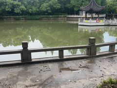 -汇龙潭