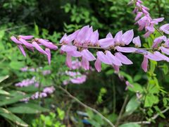 -东天目山风景区