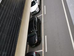 -何记花甲(海岸城旗舰店)