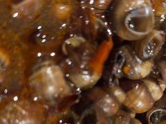 -三个大叔东北烧烤·砂锅菜(西三旗店)