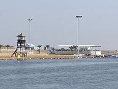 -鹦鹉洲湿地公园