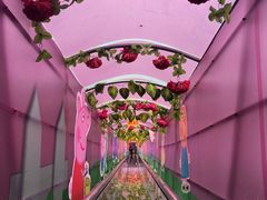 -牛鱼嘴原始生态风景区