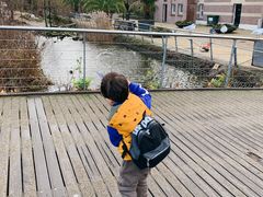 -阿提斯皇家动物园