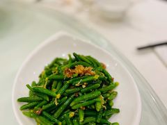 XO酱拌黄瓜苗-金时代顺风大酒店(爱琴海购物中心店)