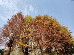 -晓港公园