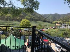 -听风阁农家私房菜茶楼(龙坞店)