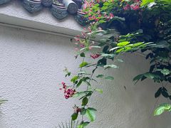 -南园酒家(前进路店)