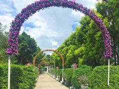 -广东花都香草世界旅游度假区