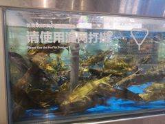 水产区-盒马鲜生(财富中心店)