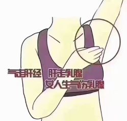 -香薇妮丝·定制减肥·身材管理