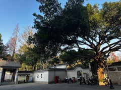 -墨池公园