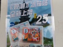 -观潮胜地公园