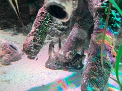 -沈阳海洋探索中心