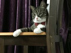 -星巴克(深圳佳宁娜友谊广场店)