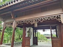-上海滨江森林公园