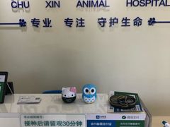 -初心动物医院