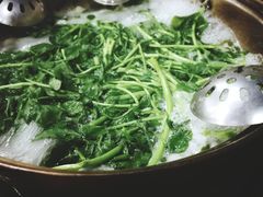 -章记正宗南岗鱼蛋火锅