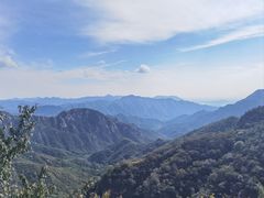-大岭沟猕猴桃谷风景区