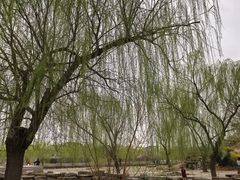 -赵州桥景区
