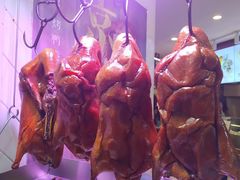 -特派卷·老北京烤鸭卷(合生汇购物中心店)