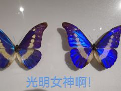 -上海昆虫博物馆