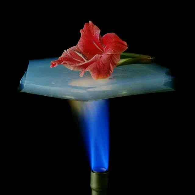 九轩涮肉-"饭店经济实惠,服务周到,味道特棒,离家距."-大众点评移动版