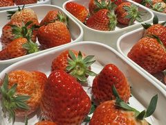 -水之梦(黄浦店)