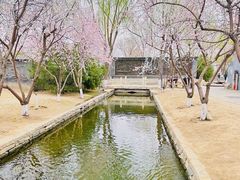 -三里河公园