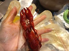 -红辣椒·川菜·火锅(张杨路店)