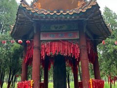 -函谷关历史文化旅游区