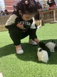 -萌宠亲子动物乐园(槐房万达店)