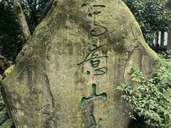 -南山植物园
