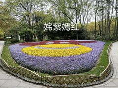 -共青国家森林公园-售票处