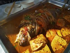 -庆岭迎宾园正宗活鱼馆