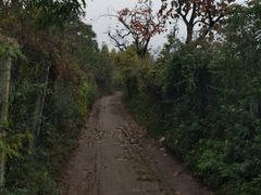 -抱龙峪