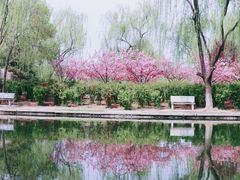 -石家庄市植物园