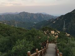 -大岭沟猕猴桃谷风景区