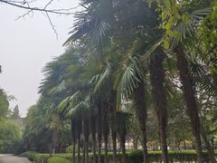 -万寿八仙宫