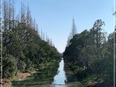 -上海长兴岛郊野公园