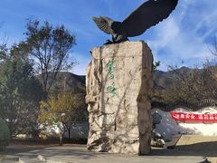 -北京鹫峰国家森林公园