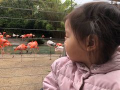 -圣地亚哥动物园