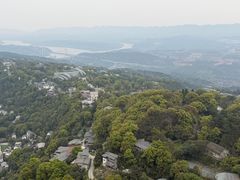 -大金鹰园