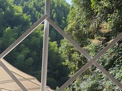 -将军关探险漂流