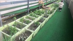 -可可天空农场(中大店)