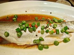 -绿茶餐厅(西单老佛爷店)