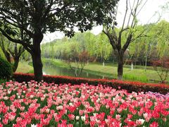 -上海鲜花港